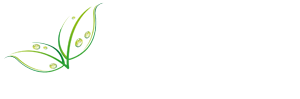 Maward Almuswqoon Healthcare is a major distributor of medical products